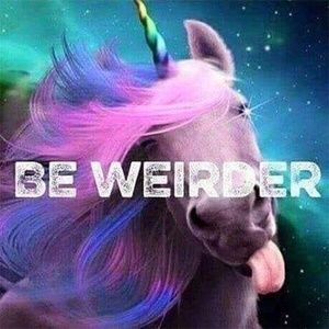 Meet your Posher, Peta